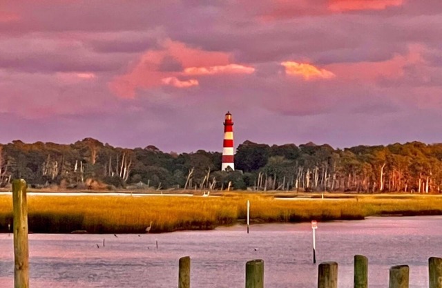 1BR Waterfront cottage with a view of the wild Chincoteague ponies!