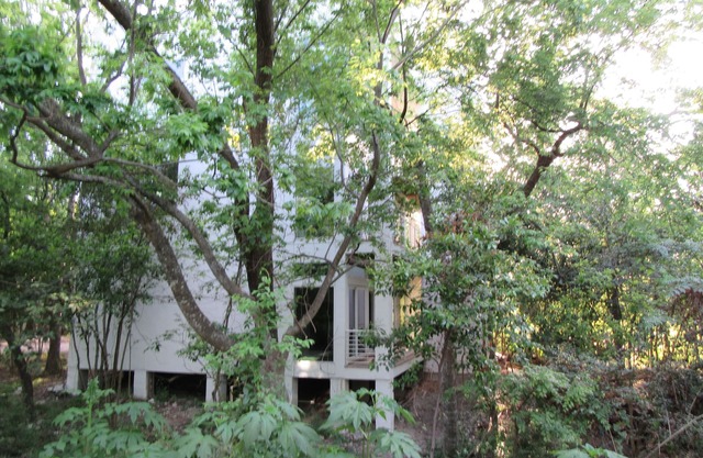 1. Stock Apt in Native Woods, neben den Bayou Trails, Washington St / Heights Area
