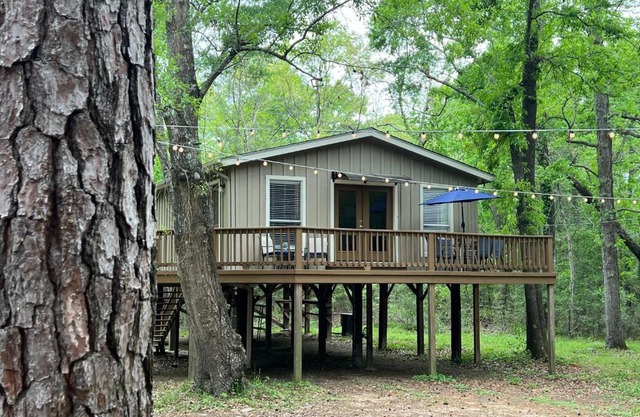 2 BDRM Treehouse Hideout- Lake Conroe with Boat ramp