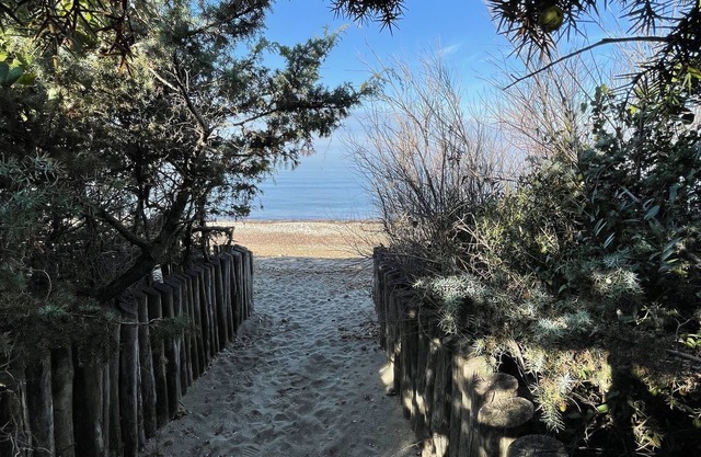 2 Bedroom Apartment in San Vincenzo