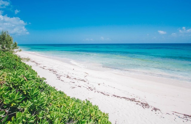 2 Bedroom Beach House Steps from Mile-Long Pink Sand Beach