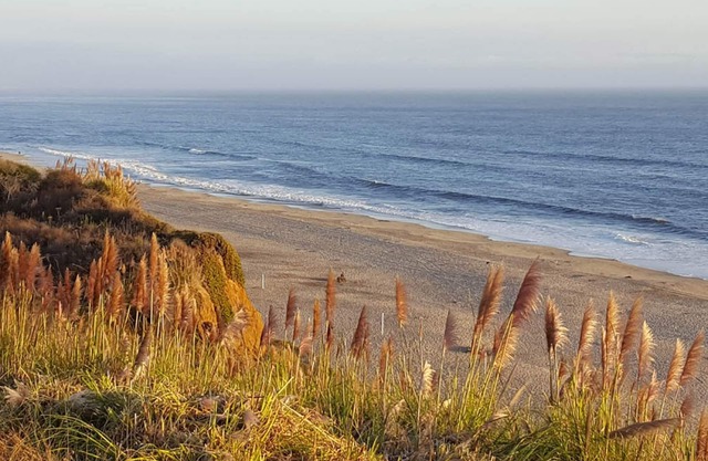 "Beach Retreat Villa 2 Bedroom 2. 5 Bath" .. Ausgezeichnete Aussicht auf das Meer! Seascape Resort