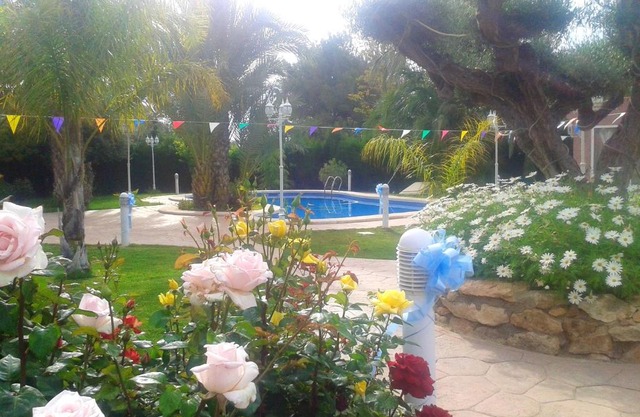 2 bedrooms apartment with shared pool furnished terrace and wifi at Elche 6 km away from the beach
