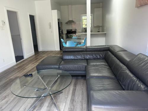 2 bedrooms apartment near the village - B