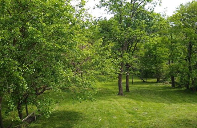 2-BR loft home, private lake for fishing/swimming, Tell City area rural estate