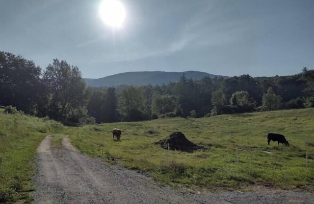 2 BR pets ok, amazing view, swimming hole, fantastic view of Green Mountains