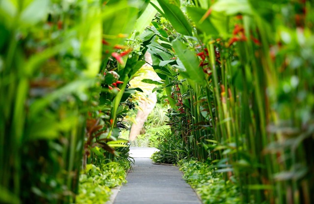 2 BR Pivate Pool Villa, 5 Minuten zu Fuß zum Strand und zum Einkaufsviertel Seminyak