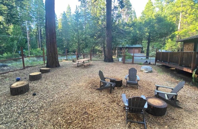 2 Dog Lodge · 2 Dog Lodge, 4-Season Dog Friendly Cabin + yard