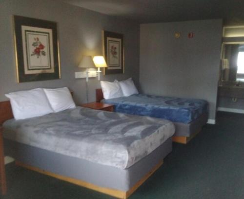 2 Double Beds Hotel Studio 115