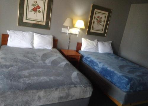 2 Double Beds Hotel Studio 207