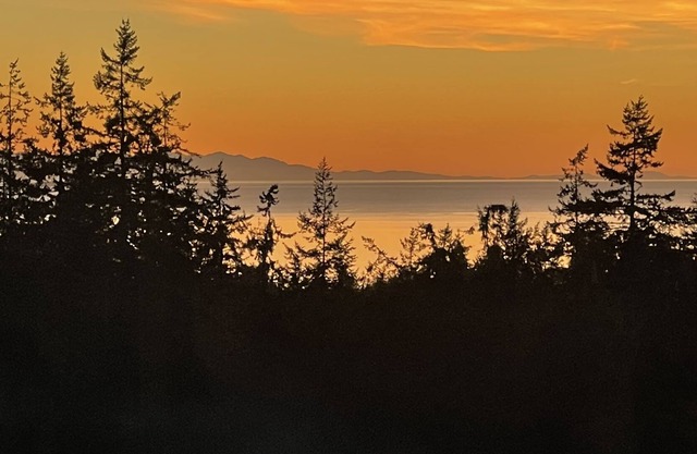 2 Miles from Deception Pass w/Strait of Juan de Fuca VIEWS !