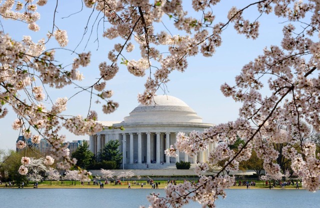 2 Perfect Suites w/Kitchen | Vibrant Dining & Historic Attractions Nearby