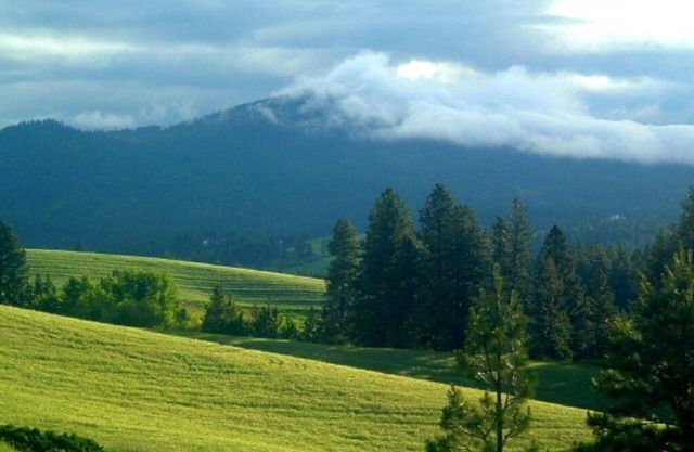 2 Rooms: Quiet queen & twin rooms on an alpaca farm for 2-4 guests