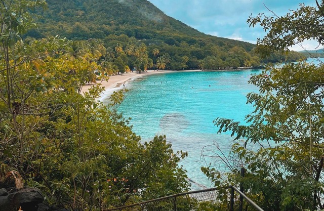 2 villas with swimming pool on the beach of Anse Figuier