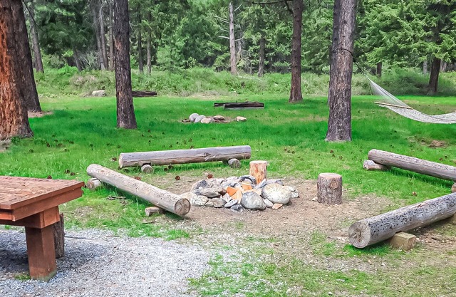 20-acre dog-friendly glamping camp with adorable cabin- near the Columbia River