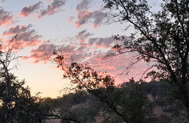 20 acre luxury glamping grounds