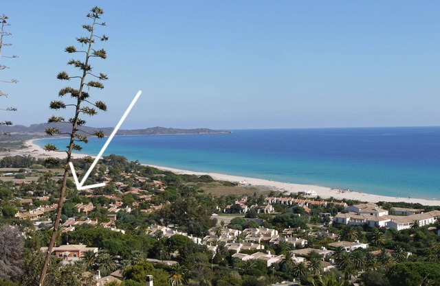 Bei 200 Meter vom Meer entfernt, 6 Betten. BBQ, Außendusche. Ermäßigte Schiffspreise