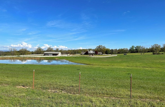 2024 Solar Eclipse Destination at Two Creeks Ranch. No light pollution