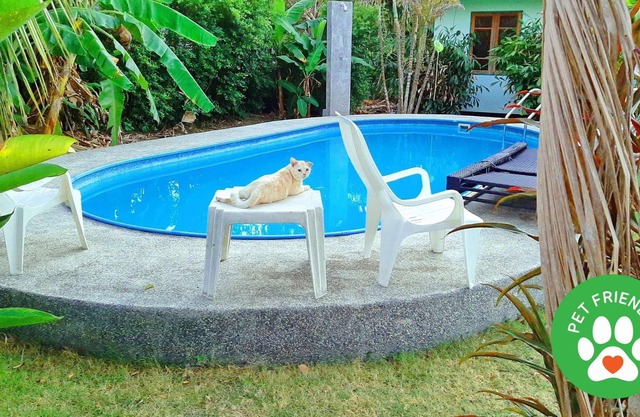 2½-Zimmer Bungalow mit Gemeinschaftspool
