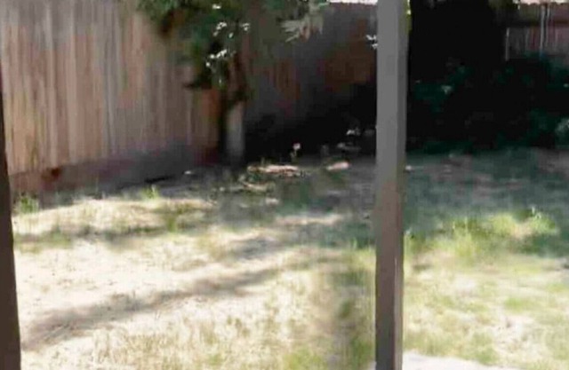 2247 W Dakota Fresno · Nice King Bed! Fenced BackYard- W/D and Parking!