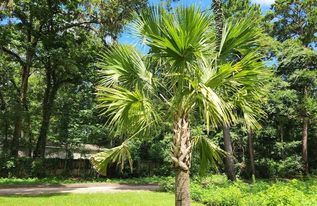 3 Bedroom 15 minutes from beach