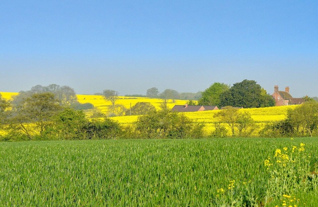3-Zimmer-Unterkunft in Upton Cressett, in der Nähe von Ironbridge