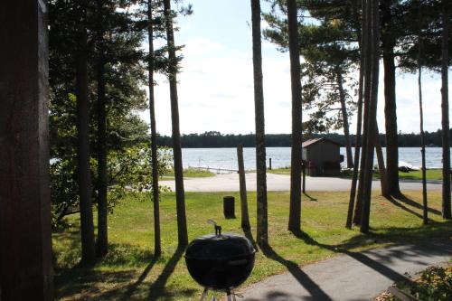 3 Bedroom condo at Wild Eagle Lodge