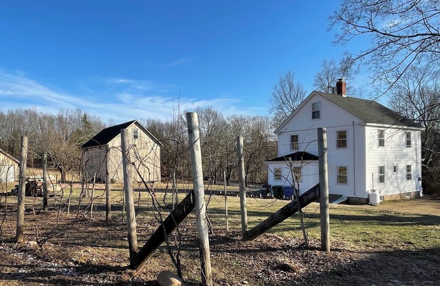 3-bedroom farmhouse in Glastonbury on working farm & vineyard