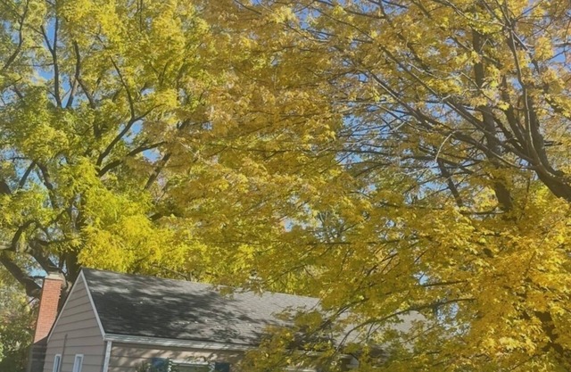 3-bedroom house in terrific Plymouth with WiFi, fitness room, AC