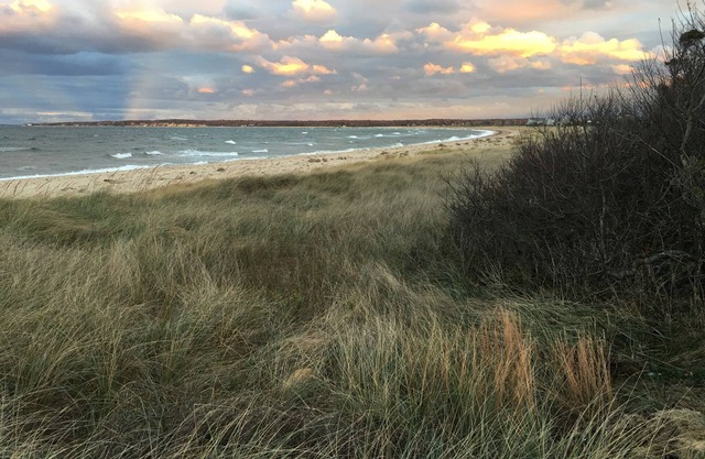 3 BR East Hampton NW Cottage, Schritte zum Sammy's Beach