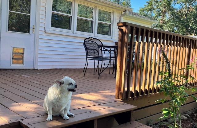 3 BR house convenient Clemson Greenville Silos. Fenced yard-Deck. Dog friendly