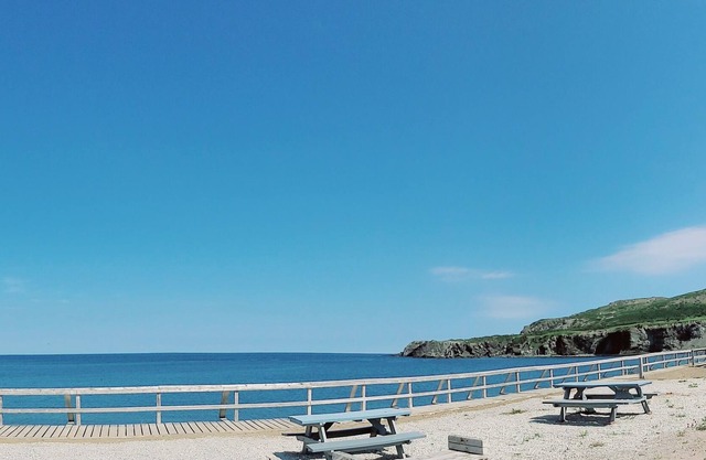 3 br House for Rent in Gros Morne National Park