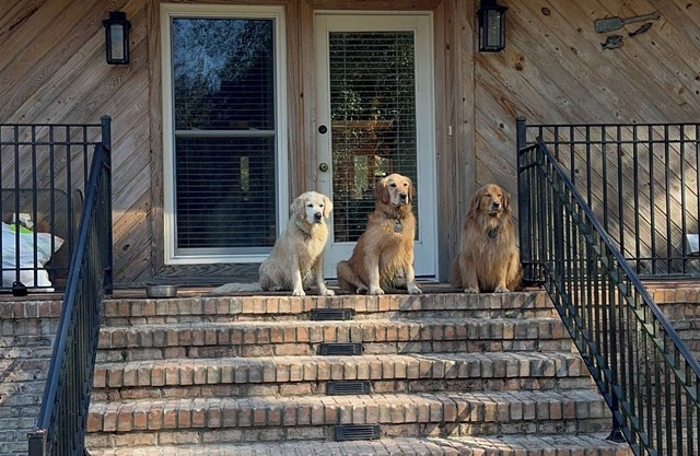 "3 Goldens"- A Spacious farmhouse with beautiful 10 acre lake in Hope Hull, Al