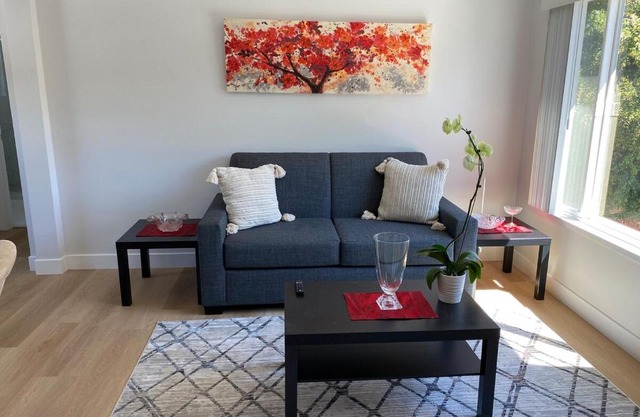 3 Palo Alto - Fully Furnished Apartment - AC, Laundry & Secure Parking