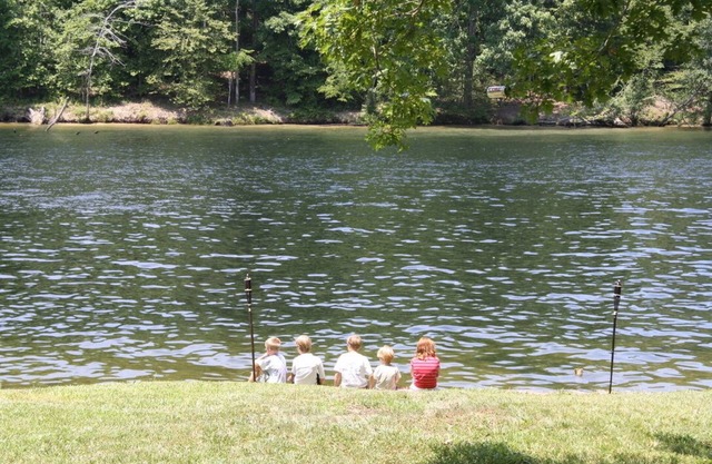 3 private properties, Solar Eclipse, water front, hot tub, new reno, pics coming