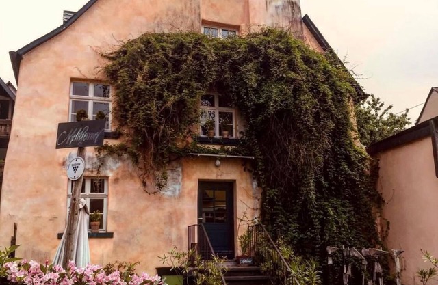300 Jahre altes Ferienhaus am Bio-Weingut an der Mosel