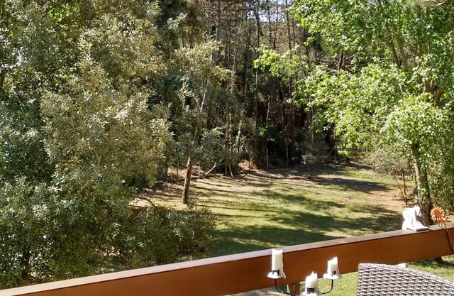 300 mt from the sea, terrace in the green in Viareggio.