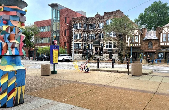 #303 Delmar Loop View Washington Univer, New Remodel