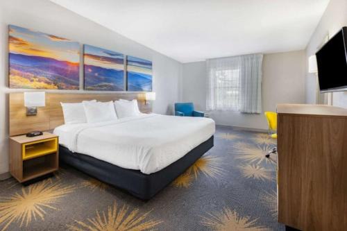 317B Days Inn I81 king room