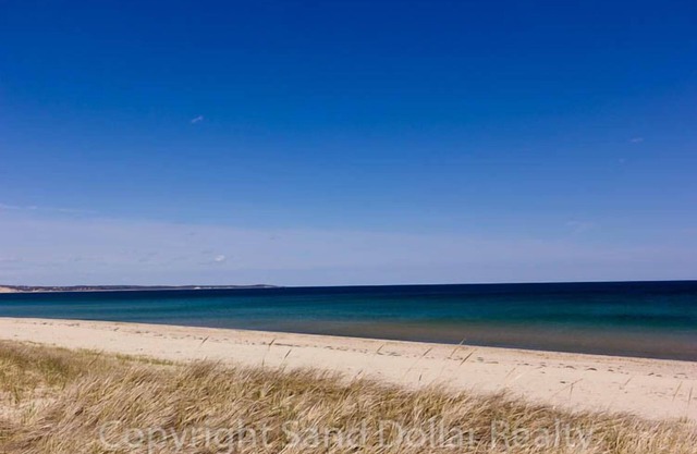 343 Phillips Rd SD19
