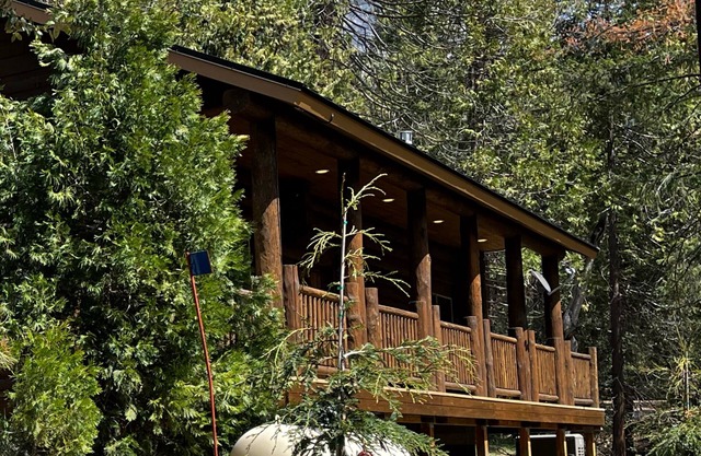 38 Die Mini-Hütte im Yosemite-Nationalpark (Wawona)
