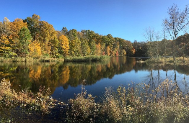 4.000 SF Country House auf 26 Hektar, völlig abgeschieden mit 7 Acre Pond