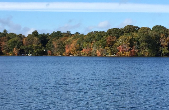 4 + Acre Pond Front Retreat, Basketballplatz