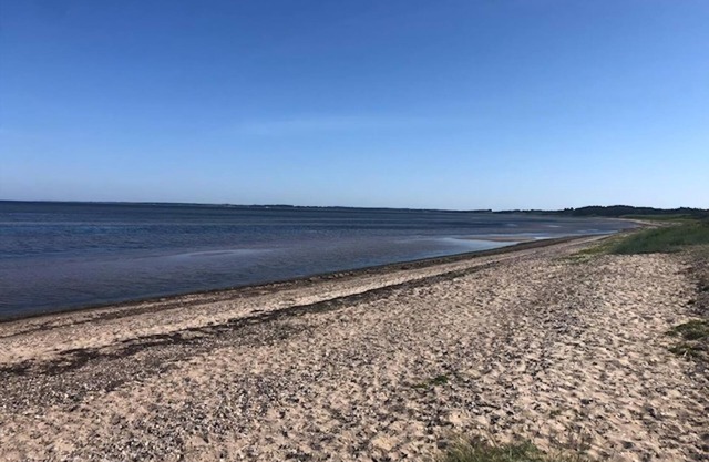 Beautiful home in Farsø with Internet