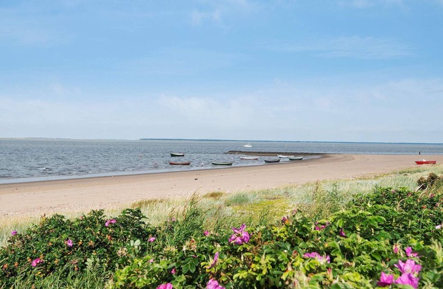 4 Personen Ferienhaus in Esbjerg V
