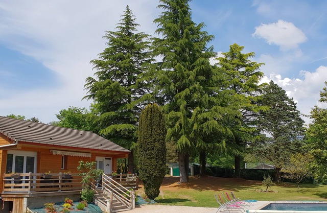 Privates Chalet klassifiziertes 4 * beheiztes Schwimmbad am Lac de Miel