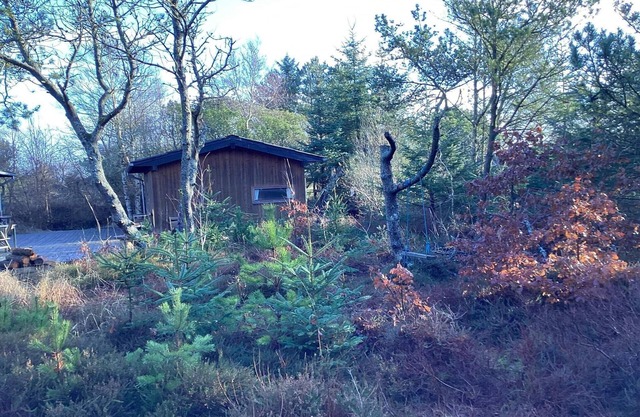 4 Sterne Ferienhaus in Ålbæk