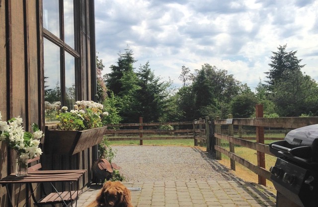 Wildwood Studio -Pet Friendly