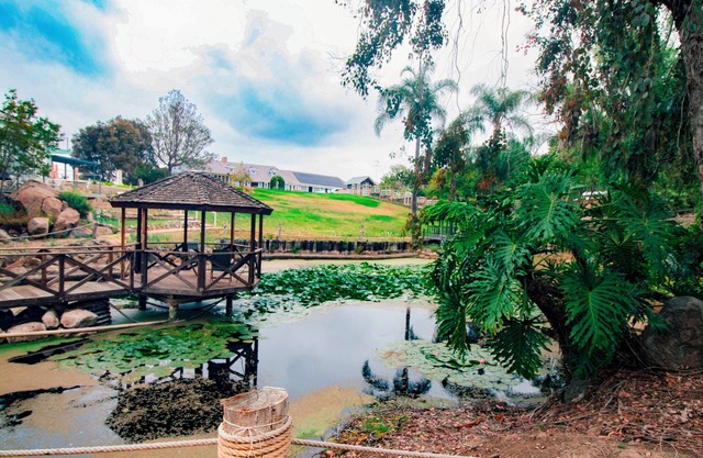 Enchanted Estate: Animals, Lightscapes & Whimsy