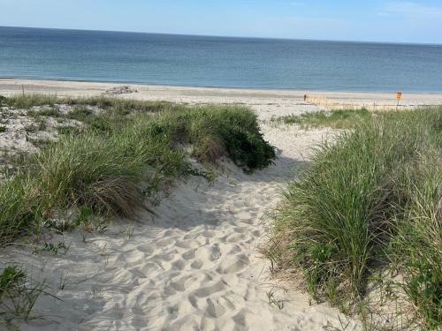 5 Beach Road East Sandwich - Sandy Toes & Salty Kisses